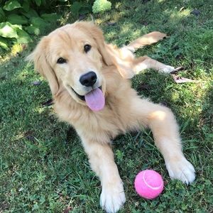 Meet your Posher, Chloe